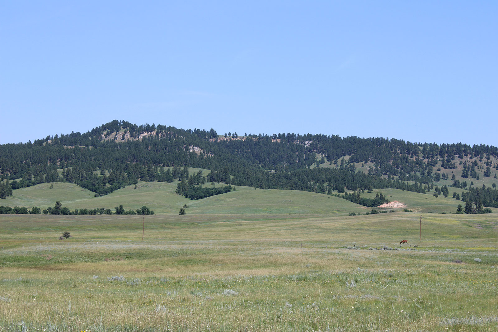 Benton Creek Ranch